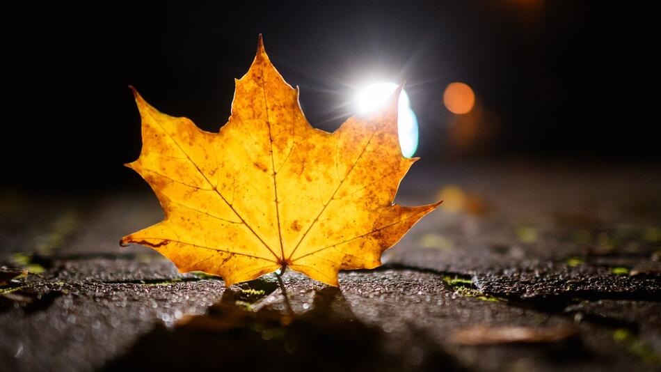 Herbst in Niedersachsen