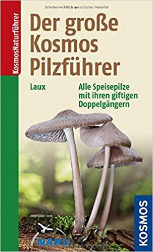 Herbstausflug, Ausflug, Familienausflug, günstig, Ideen, draußen, outdoor, spaß, familie,