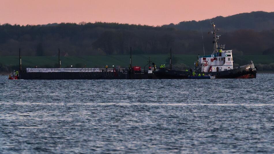 Schlepper zieht Buckelwal in Richtung Freiheit