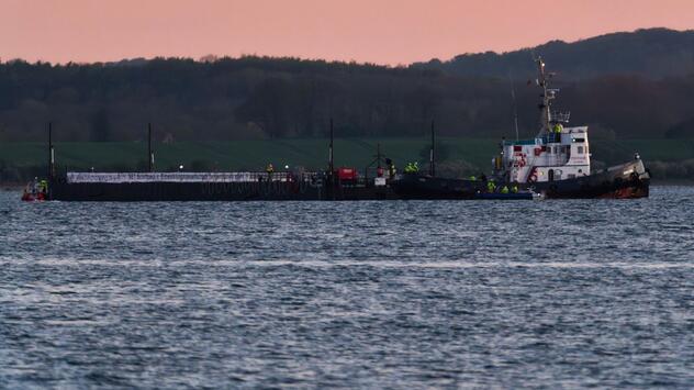 Weitere Entwicklung zum Buckelwal in der Ostsee