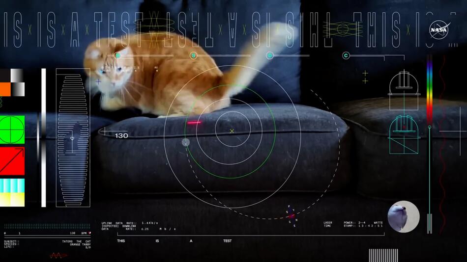 Aus 31 Millionen Kilometer Entfernung: NASA überträgt Katzenvideo per Laser aus dem All