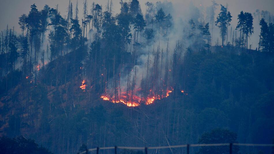 Tschechien: Waldbrand bei Hrensko