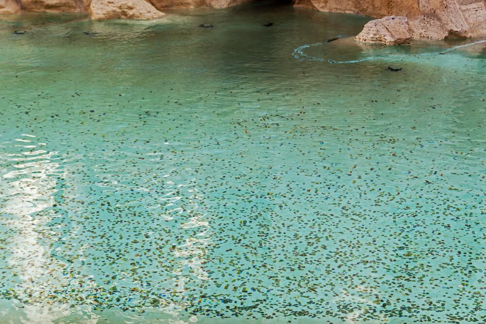 Münzen im Trevi-Brunnen