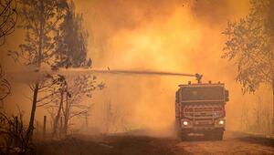 Klimawandel könnte Brandfläche in Europa bis 2100 verdreifachen