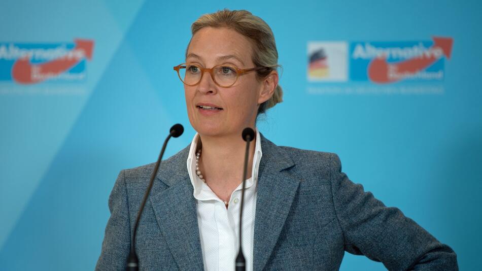 Statements der Bundestagsfraktionen - AfD