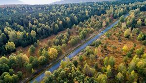 Forscher fordern CO2-Entnahmen