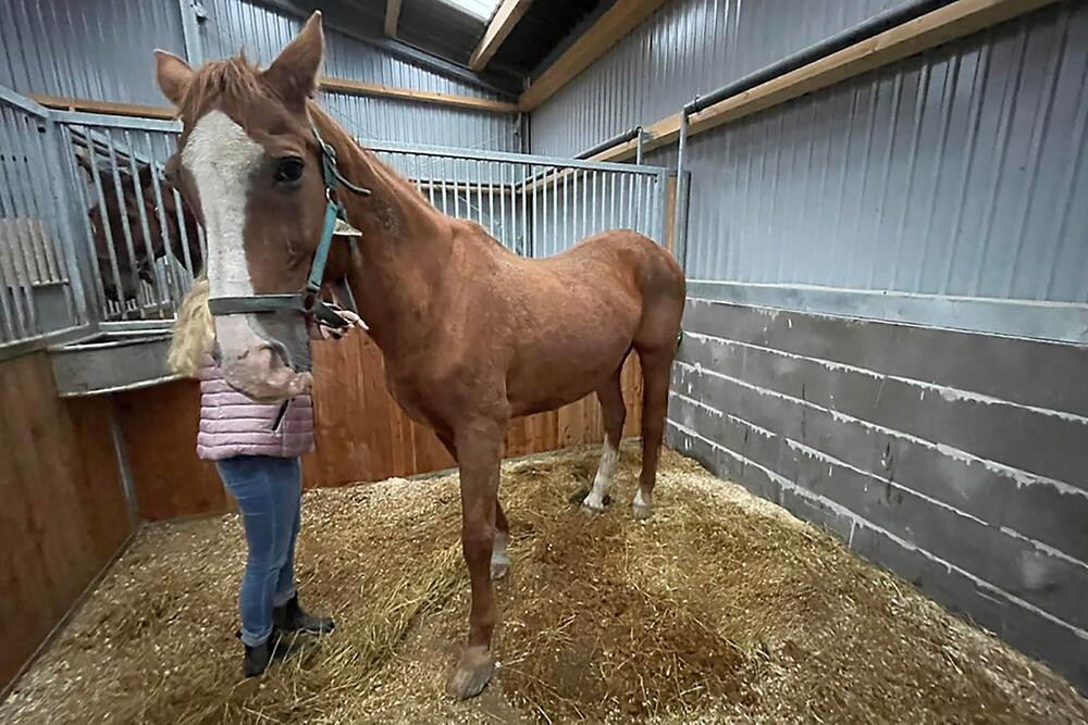 Jette war tierischer Überraschungsgast.