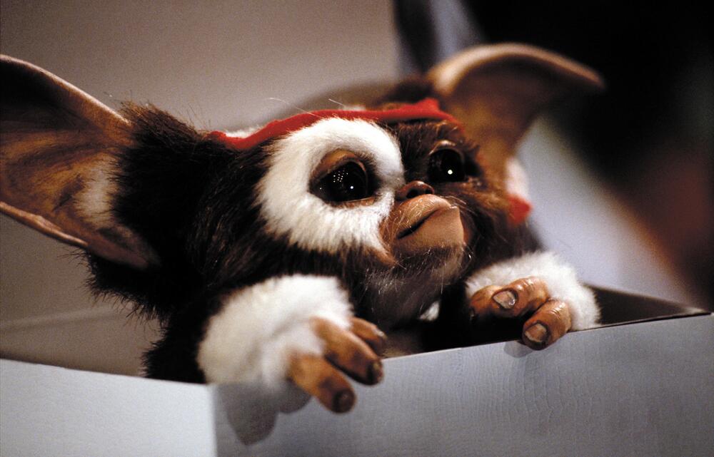 Gizmo, der Mogwai, aus dem Film "Gremlins"