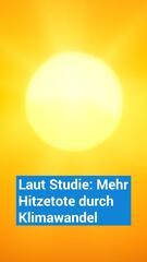 Mehr Hitzetote durch Klimawandel