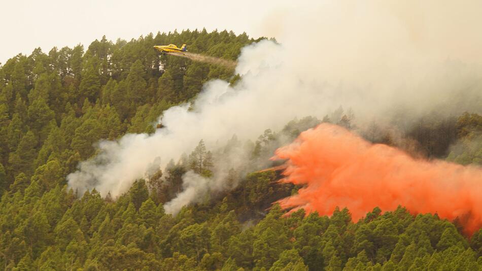Waldbrand auf Teneriffa