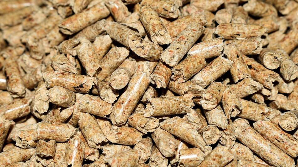 Pellets sind als Futtermittel für Pferde nicht neu