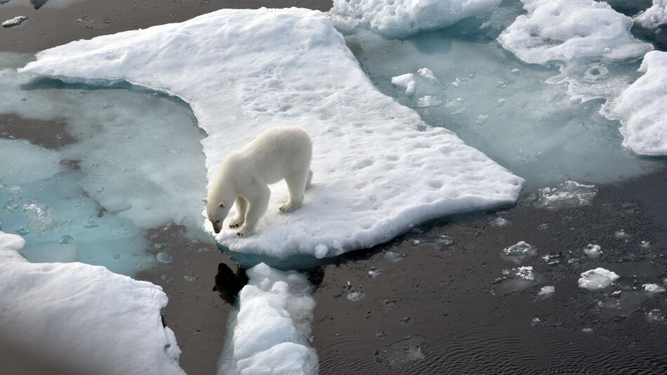 Meereis der Arktis auf zweitkleinste Fläche geschrumpft