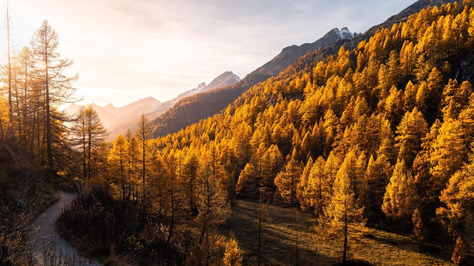 Diesen Sternzeichen steht ein goldener Herbst 2024 bevor