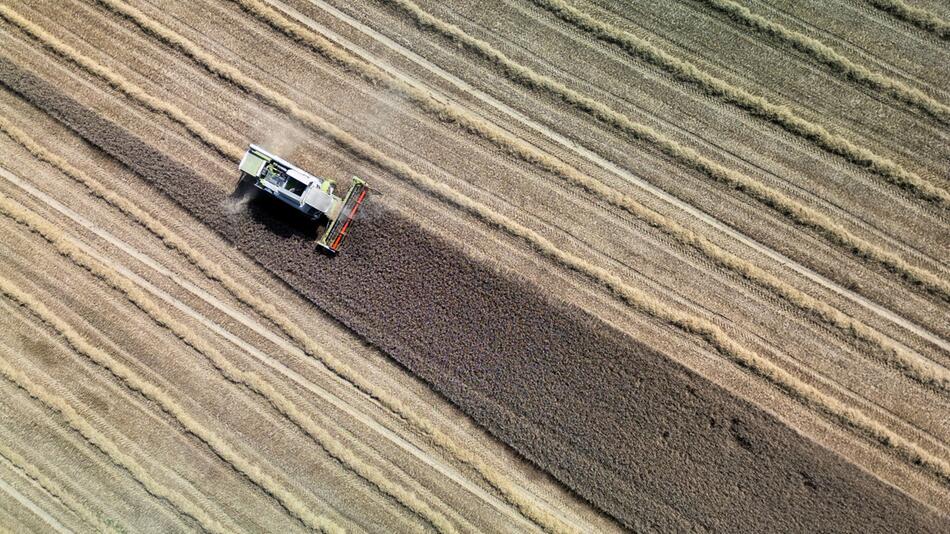 Zahl der landwirtschaftlichen Betriebe