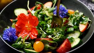 Essbare Blumen und Blüten in einem bunten Salat
