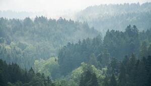 Wetter in Baden-Württemberg