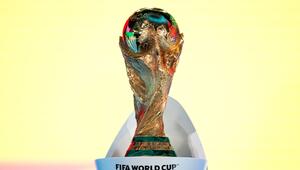 Fußball-WM
