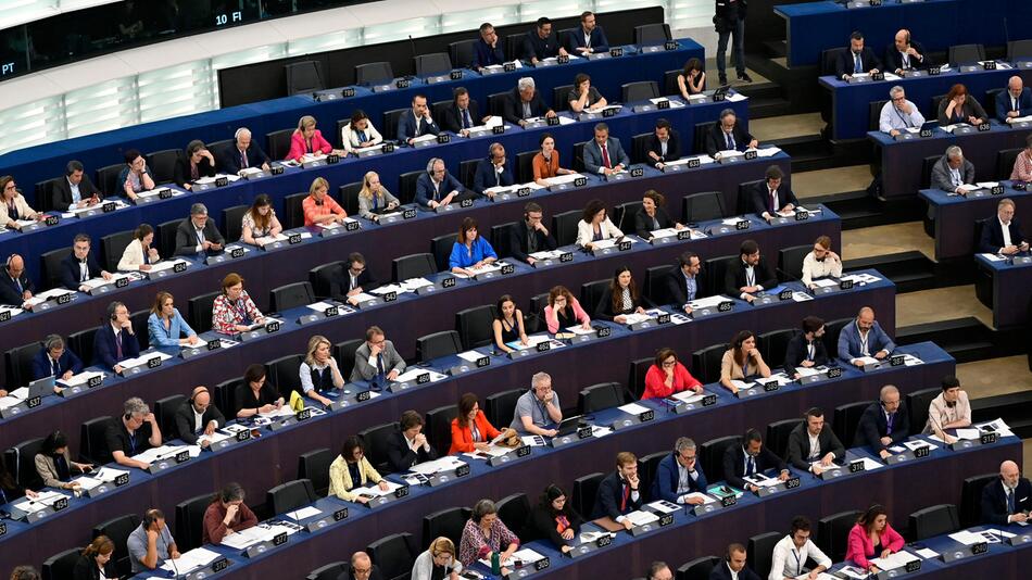 Abgeordnete wollen gegen Europa-Partei der AfD vorgehen