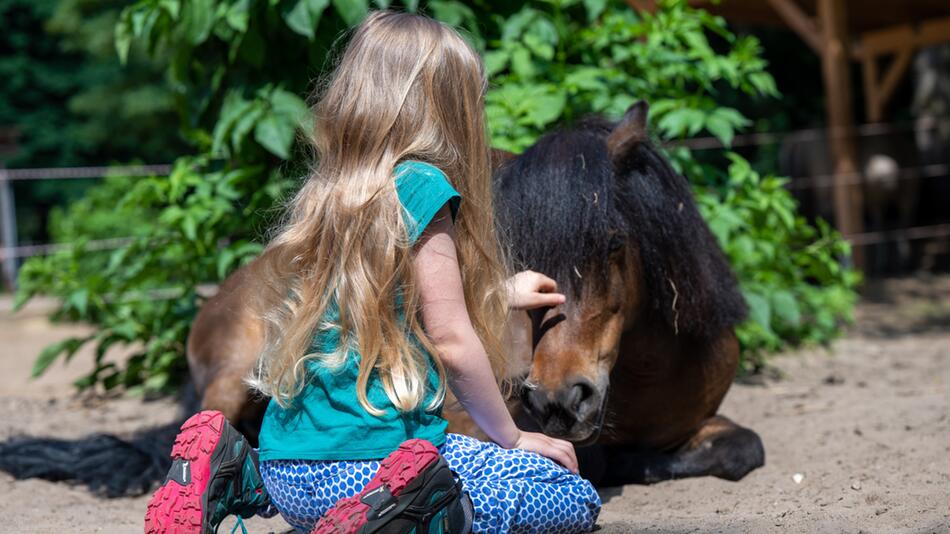 In Hamburgs Süden liegt das Ponyhof-Paradies.