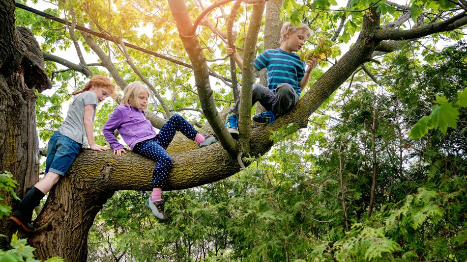Pädagoge benennt, was Kindern heutzutage verloren geht