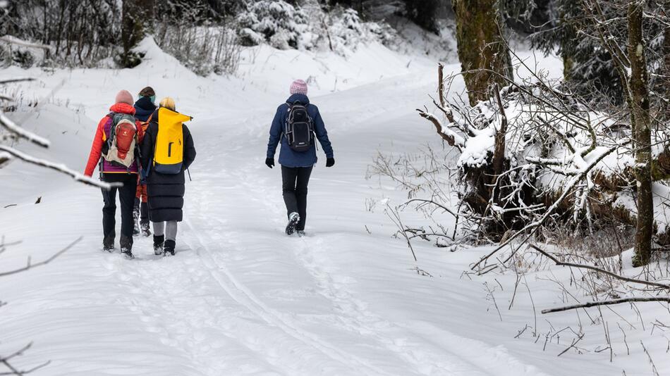 Winterwetter im Thüringer Wald