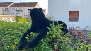 Plüsch-Panther löst Polizeieinsatz aus