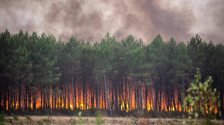 Waldbrände, Frankreich, Spanien, Europa, Extremfeuer, Hitze, Brandgefähr