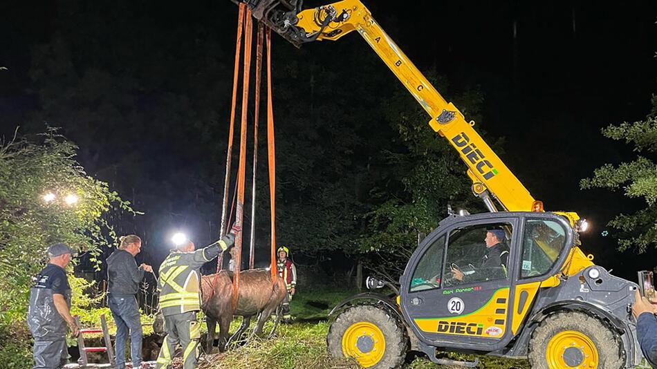 Pferd muss aus Güllegrube gerettet werden.