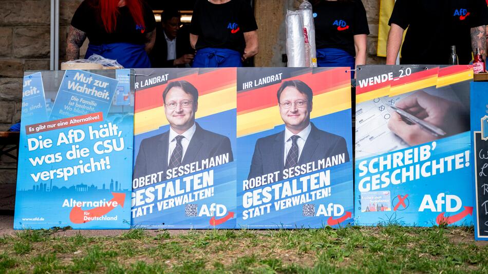 AfD-Wahlkampfplakate