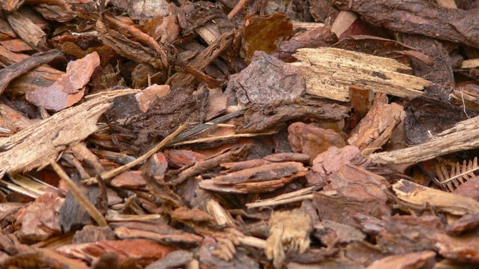 rindenmulch gegen unkraut