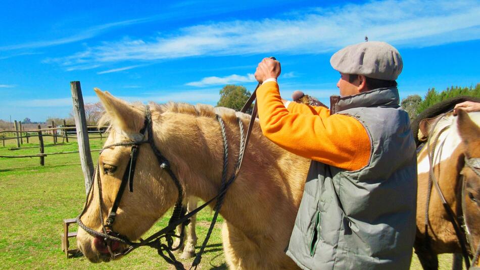 Reitlehrer schlug Ponys in Belgien.