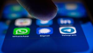 Die Signal-App auf einem Smartphone