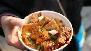 koya tofu