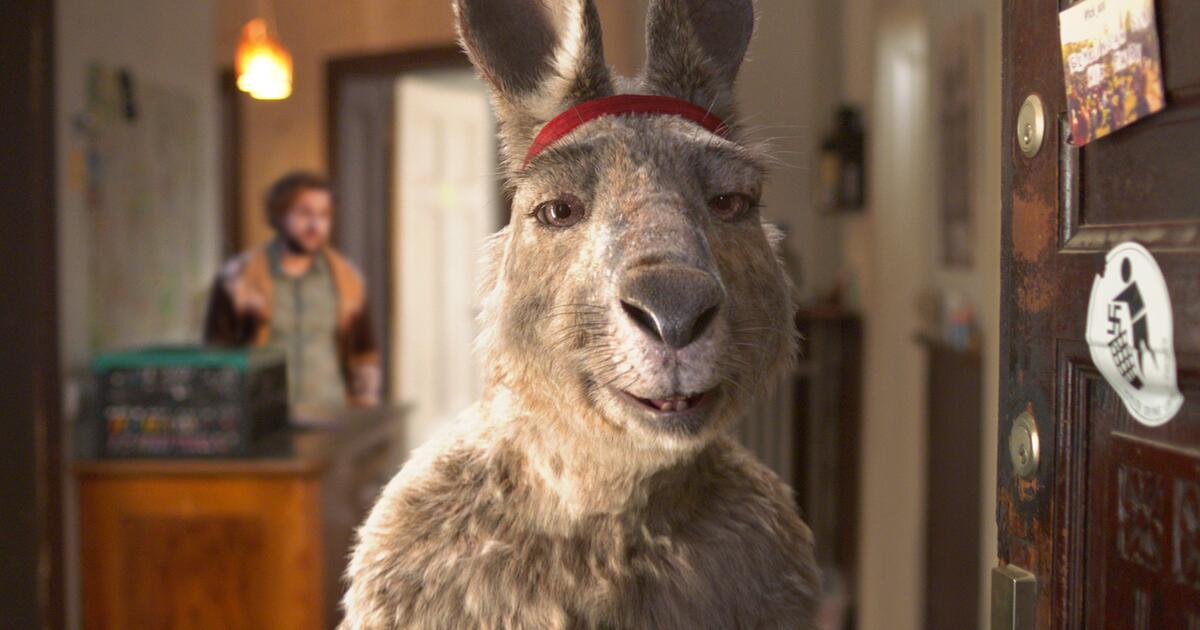 "Känguru-Chroniken" im Kino: Das Kult-Känguru auf Leinwand | GMX