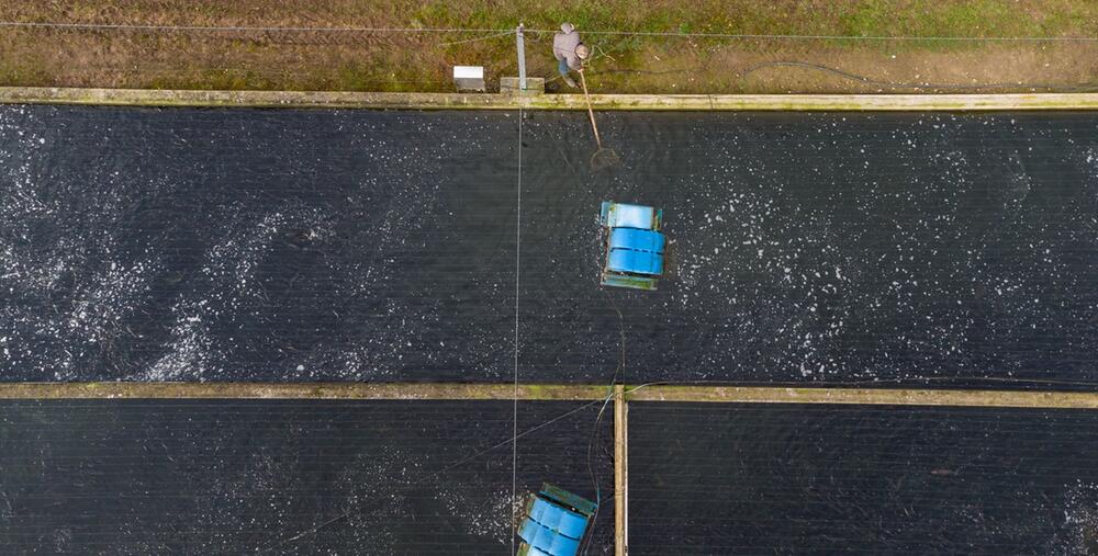 Aquakultur in Niedersachsen