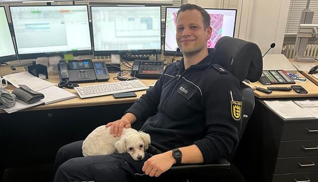 Malteser-Mischlings-Hündin bei der Polizei