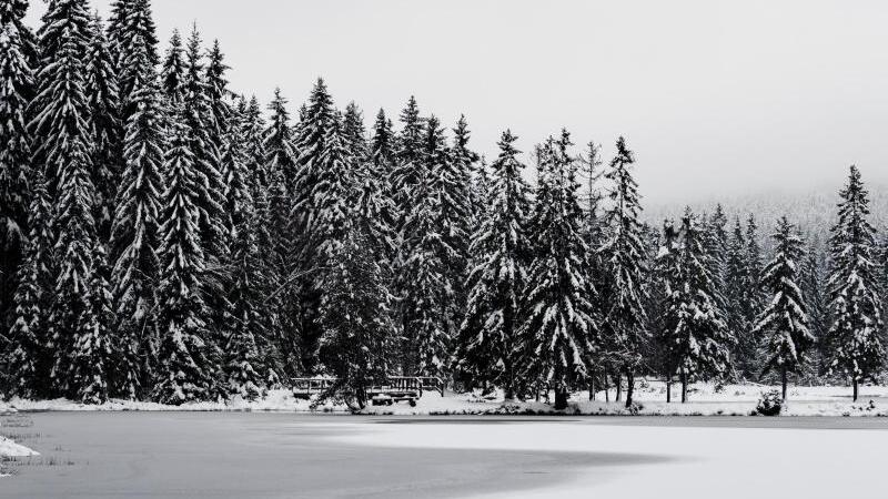 Winterlandschaft