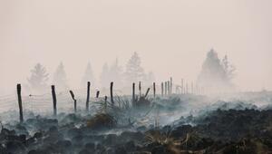 Waldbrand im Hohen Venn