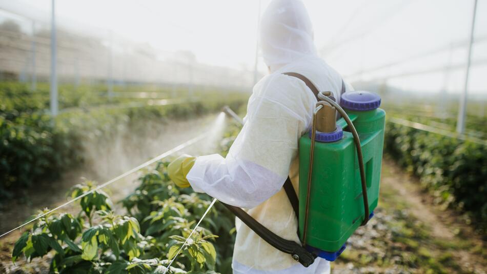 Arbeiter setzt Pestizide ein