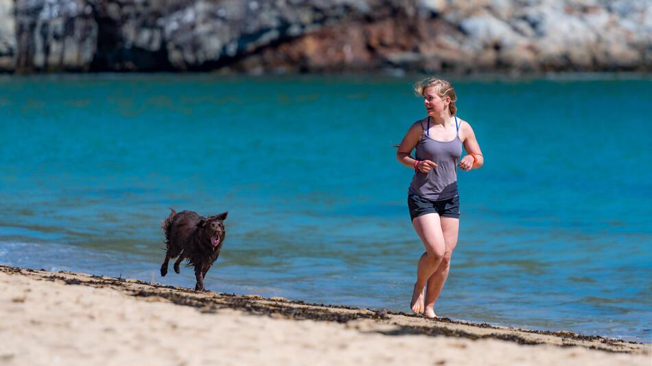 Joggen mit Unterstützung des Hundes? Canicross.