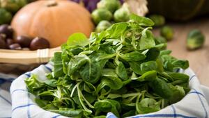 Feldsalat liegt in einer Schüssel