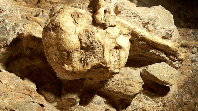 Der Schädel von "Little Foot" wurde in der Sterkfontain-Höhle in Südafrika entdeckt.