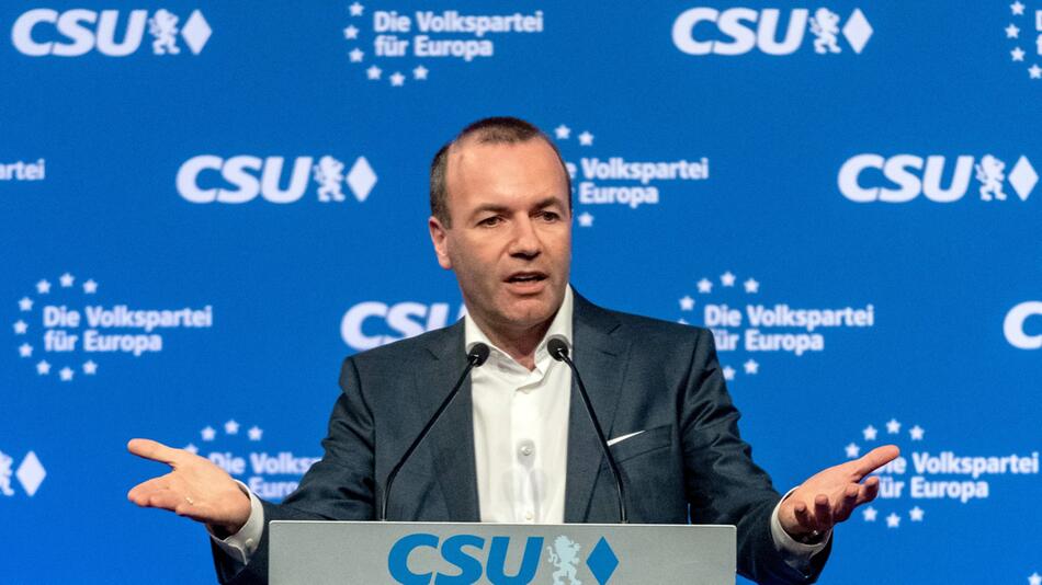 Manfred Weber