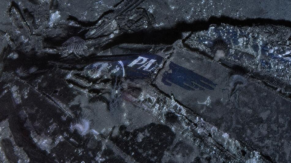 Forscher entdecken lange verschollenes Flugzeugwrack