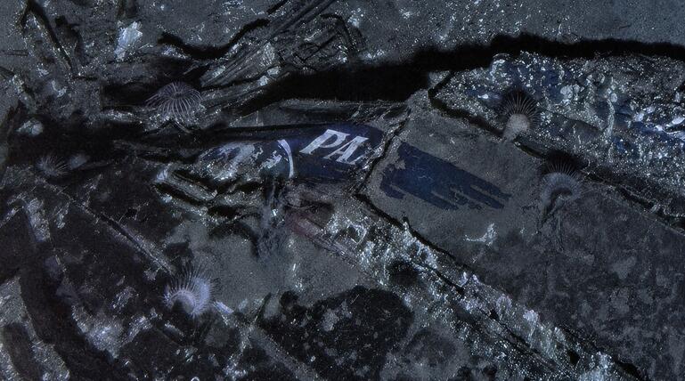 Flugzeugwrack nach 74 Jahren entdeckt