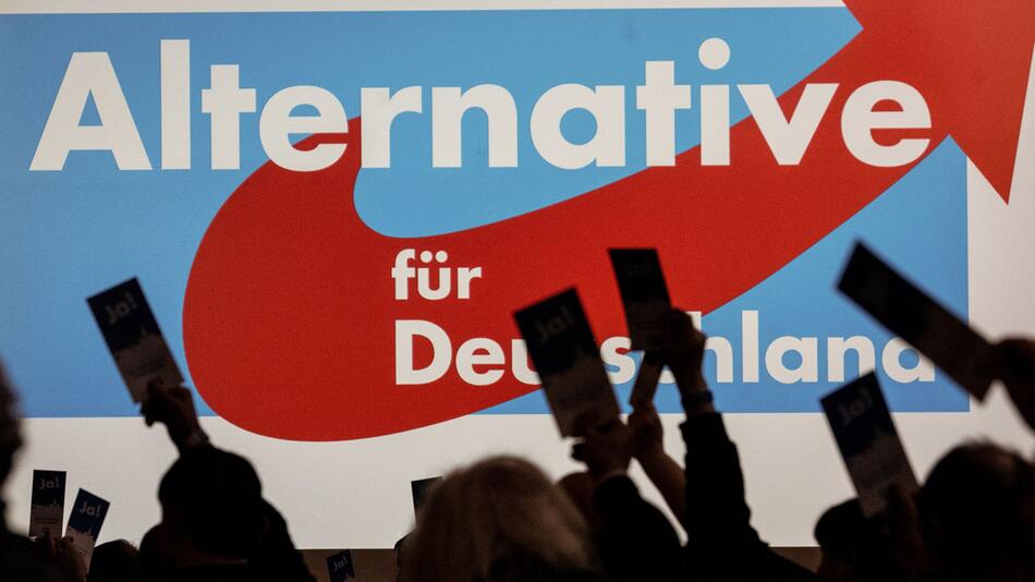 AfD verzeichnet unter dem Strich weiter Mitgliederzuwachs