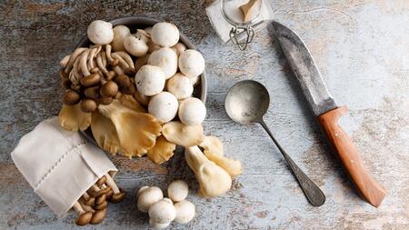 Mehr als Champignons: Drei kreative Pilzrezepte