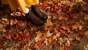 Braune Schuhe stehen in herbstlich gefärbten Laub
