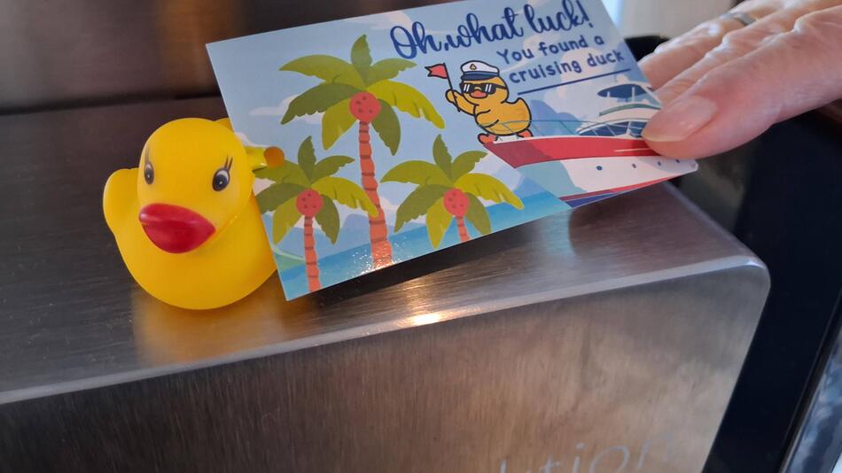Gummienten an Bord verboten: Reedereien gehen gegen Passagier-Trend vor