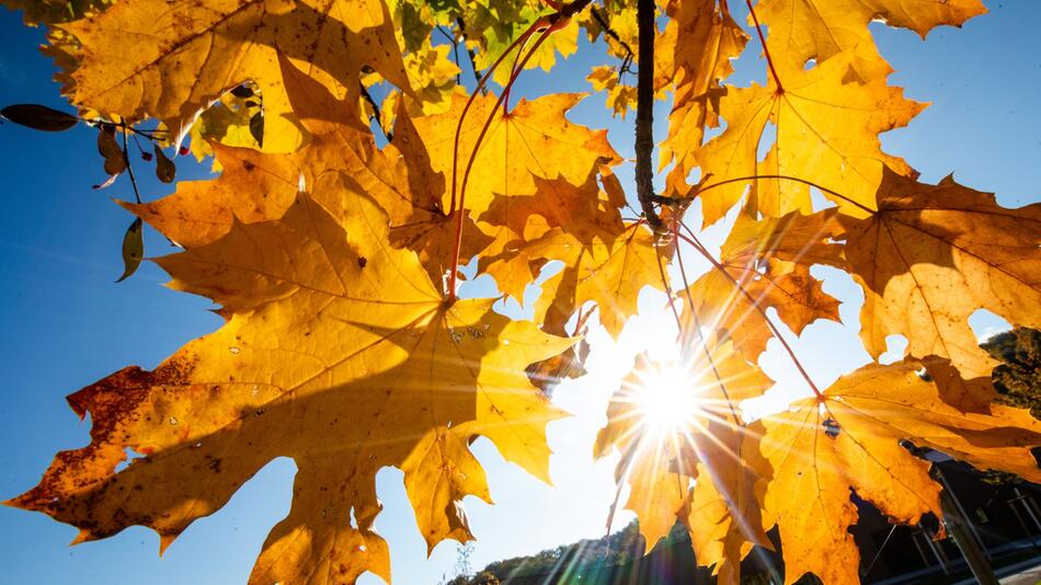 Nach Regen wird die Sonne in Baden-Württemberg erwartet